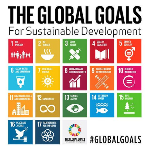 Un Development Goals