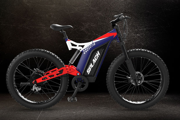 24 inch ebikes