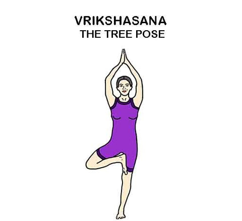 Vrikshasana (Tree Pose):