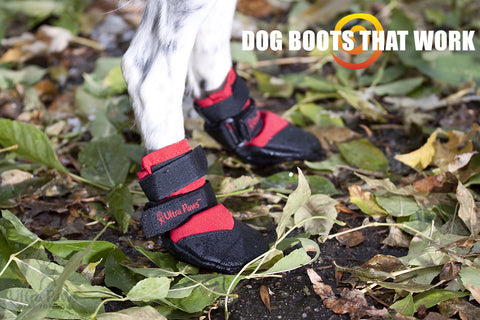 Ultra Paws Dog Boot