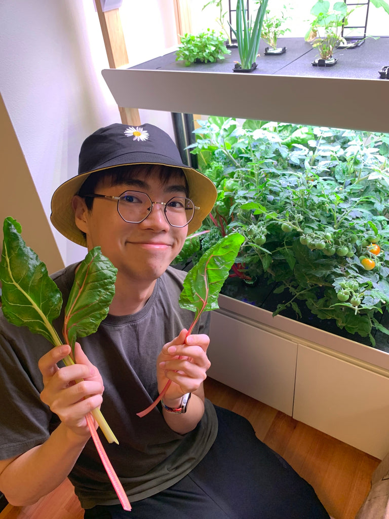 Yan and his Rise Garden