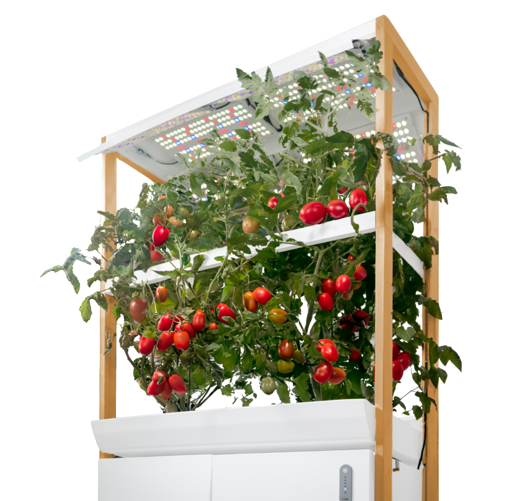 The New Rise Roma Hydroponic Indoor Garden