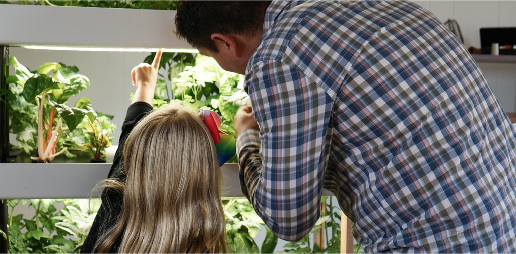 Father and daugther choosing fresh herbs form their Rise Gardens