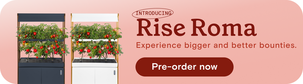 Pre-order Rise Roma Garden