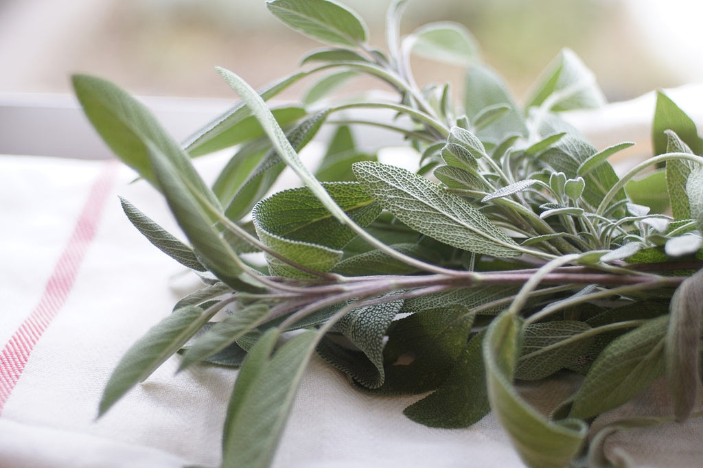 Sage harvested from a Rise Garden