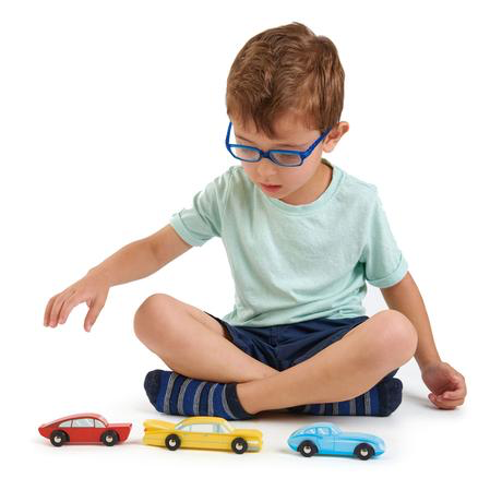 Tender Leaf Toys - Retro Cars