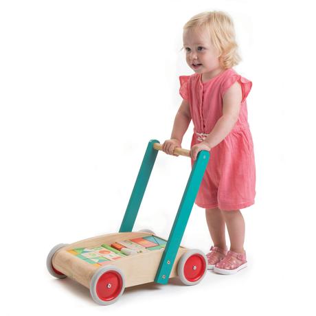 Tender Leaf Toys - Baby Block Walker