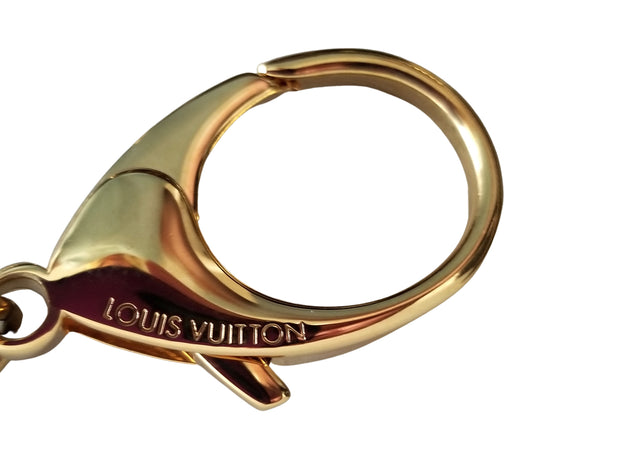 Louis Vuitton LVXLOL Party Palm Springs Bracelet Monogram in Canvas/Calf  Leather with Gold-tone - GB