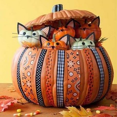 kitty cat pumpkin