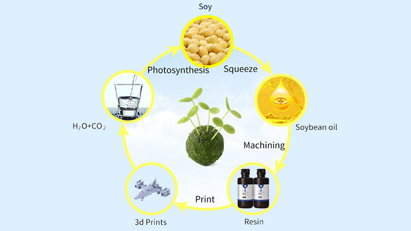 Eco-Friendly 3D Printing: Guide to Anycubic Plant-Based Resin – ANYCUBIC-US