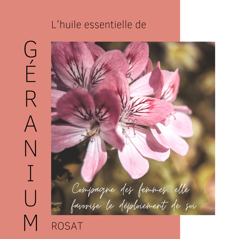Fiche ingrédient - Huile essentielle de géranium rosat