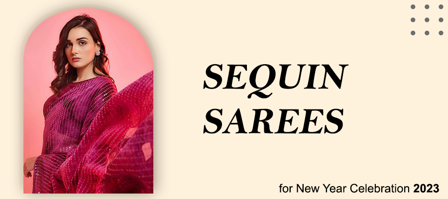 Sequin Sarees for New Year Celebration 2023