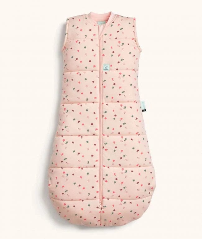 Jersey Sleeping Bag 2.5 Tog For Baby By ergoPouch - Cute Fruit