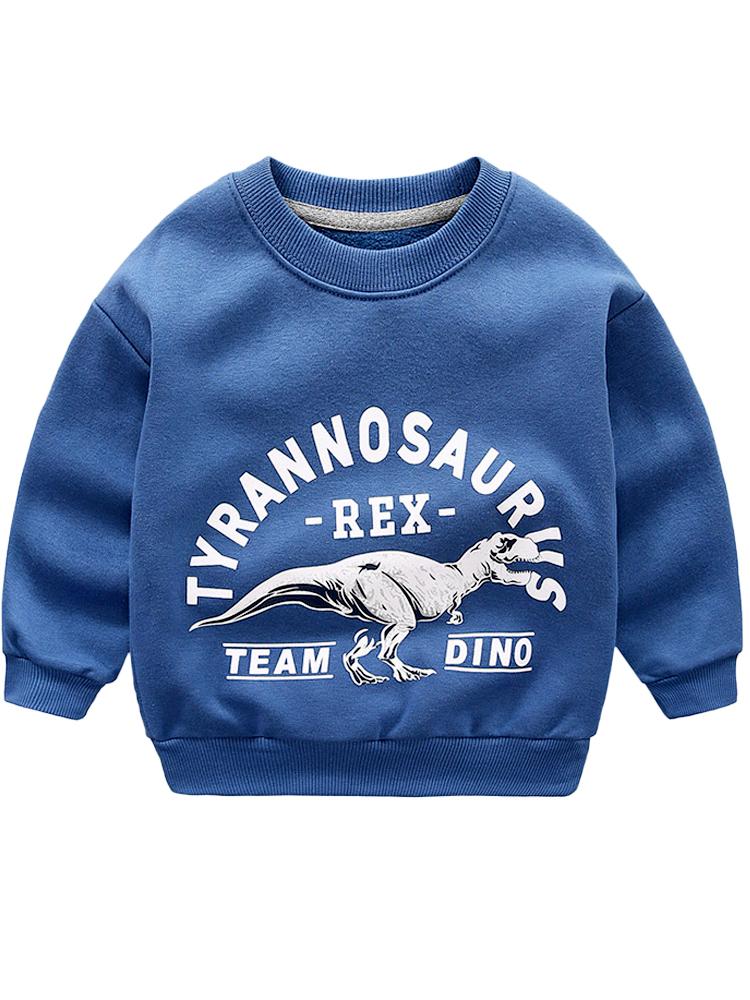 Boys Dinosaur Jumper Tyrannosaurus Rex Jumper T-Rex Jumper 