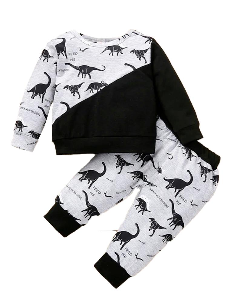 Baby Boy Dinosaur Print Top Pants Set 