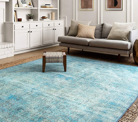 Living Room RUg