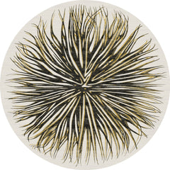 Matthew Wailes Sciamano Design Rug