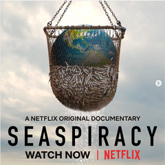 Seaspiracy