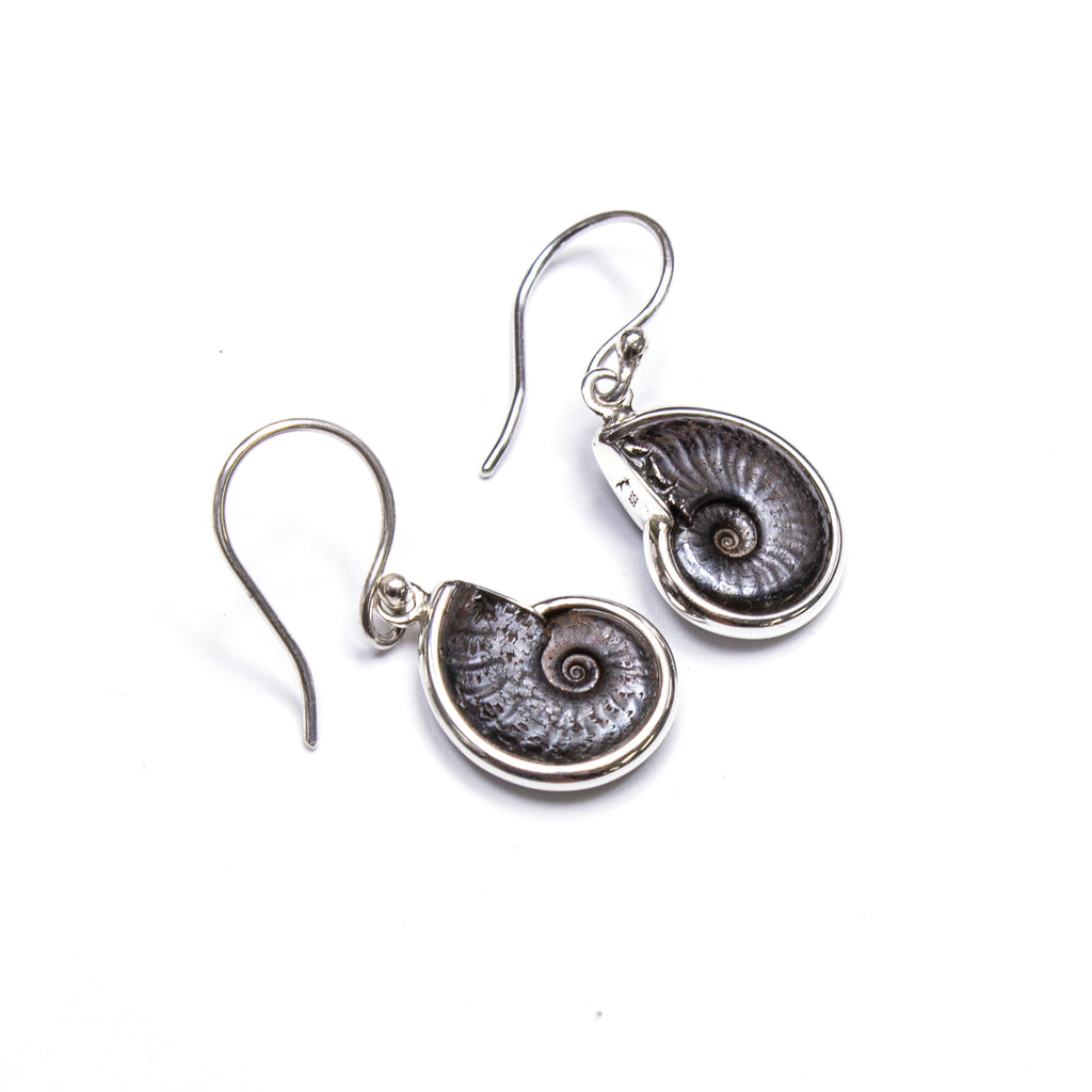 SS Ammonite Bezel Dangle Earrings – Fire & Ice