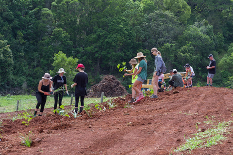 Community Tree Planting New South Wales