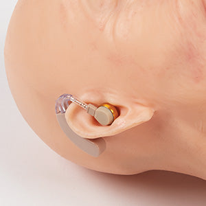 TERi Hearing Aid