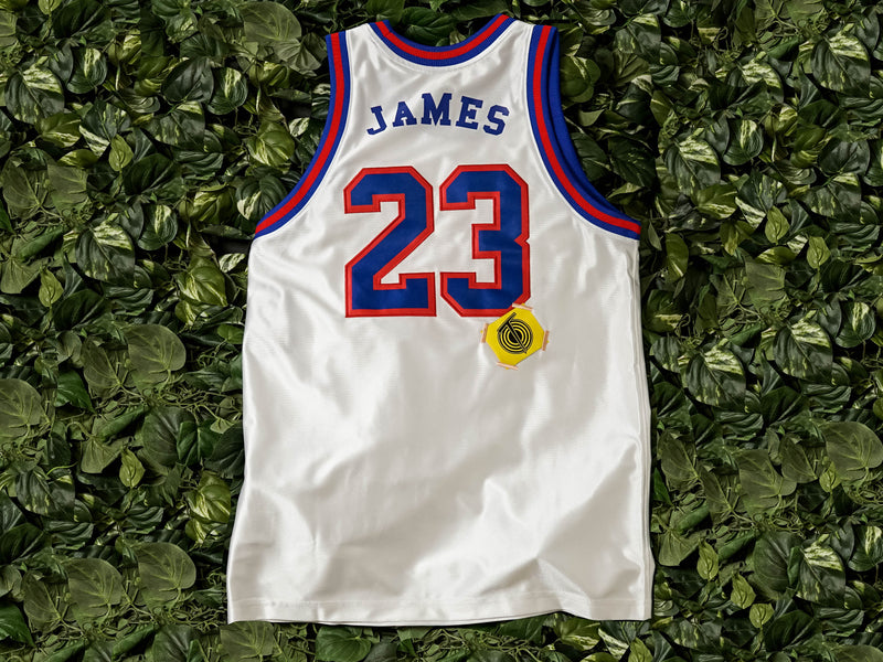 nike lebron x tune squad dna jersey