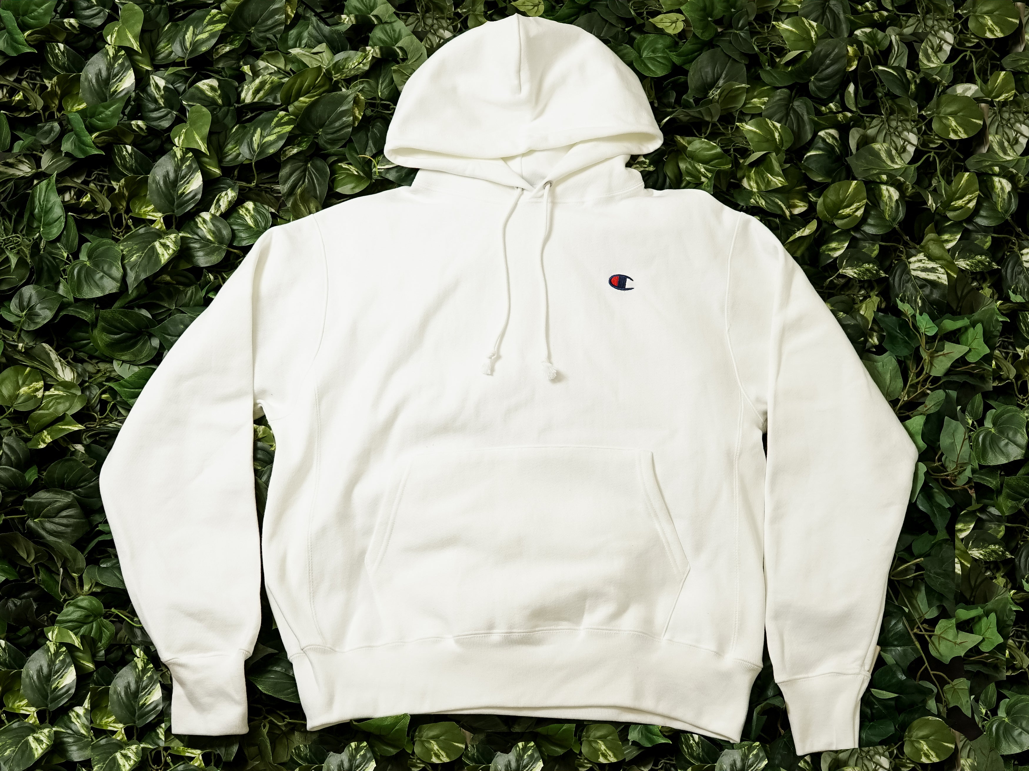 champion fleece pullover