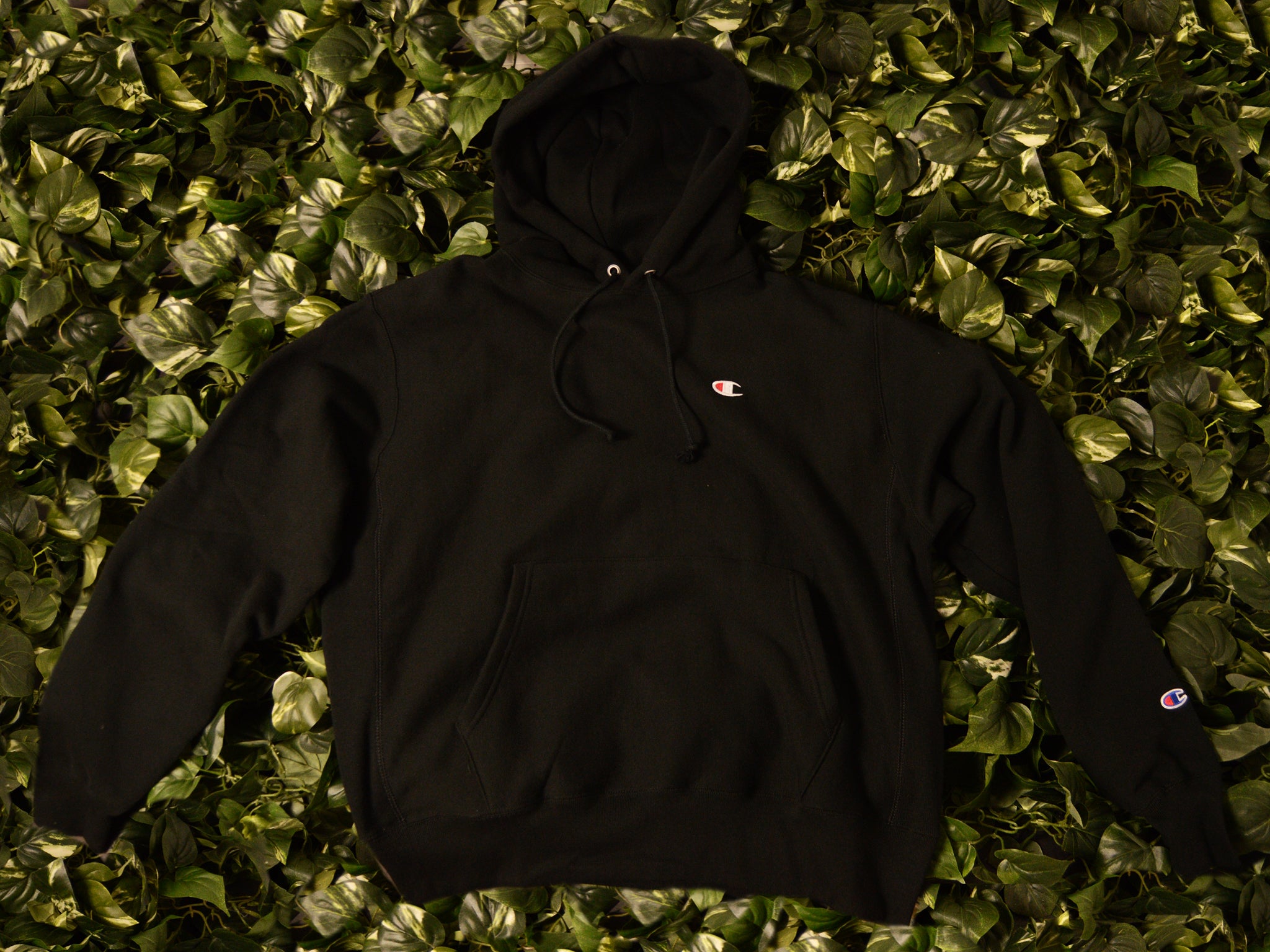 men's champion fleece hoodie