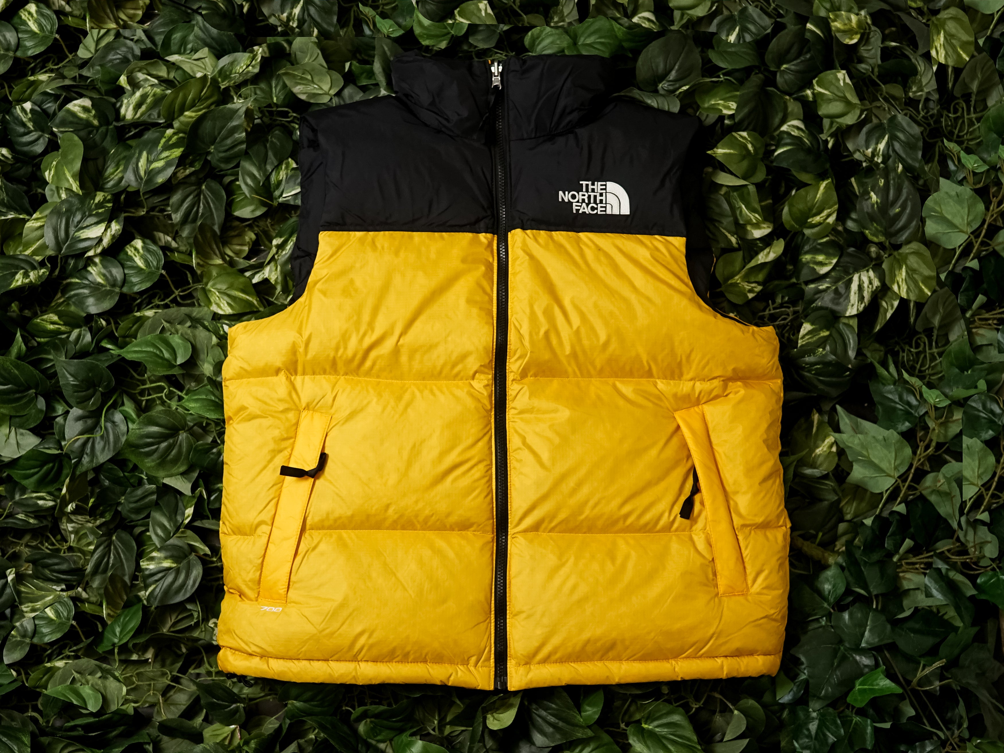 north face 1996 vest