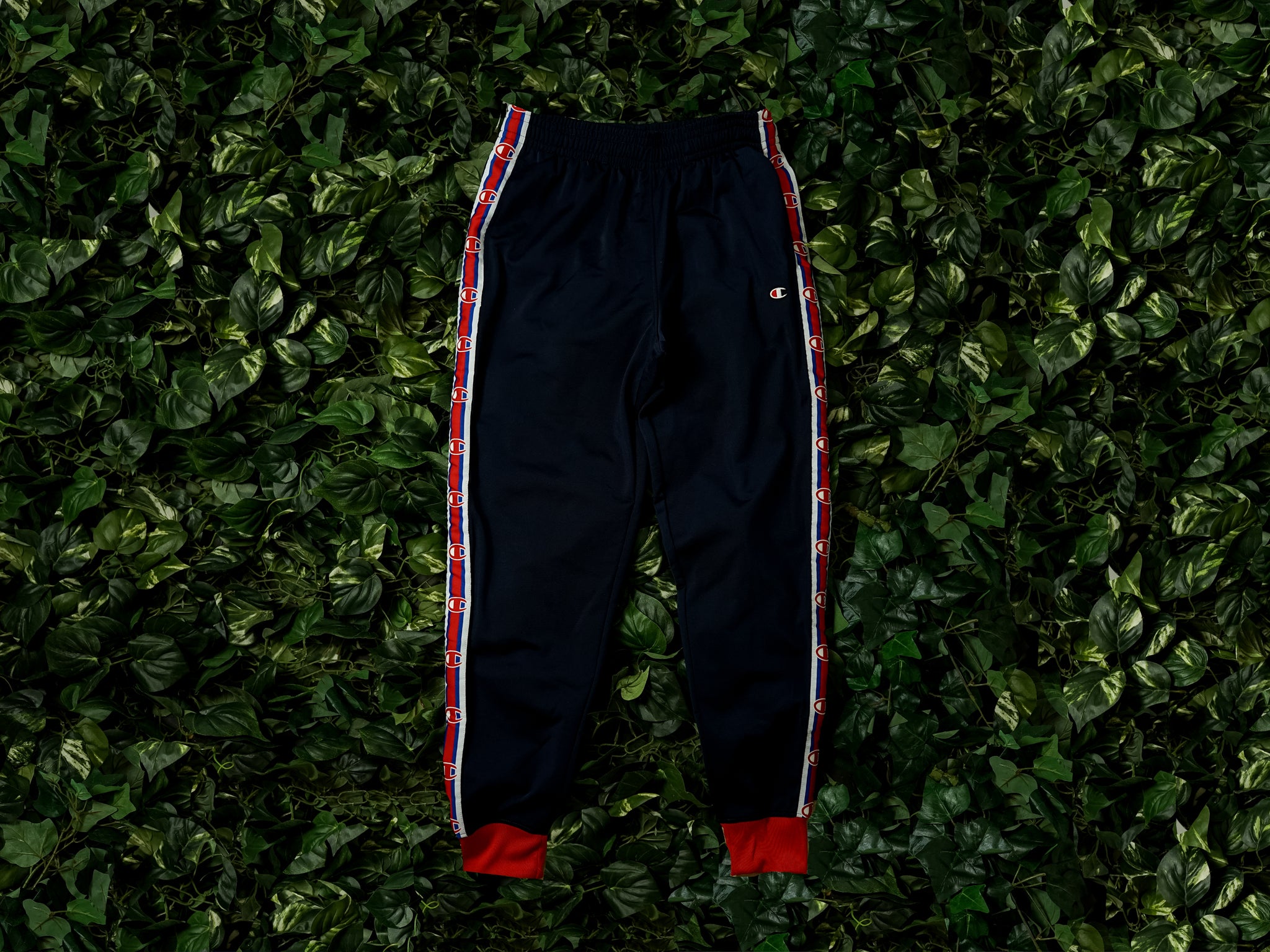 champion life track pants