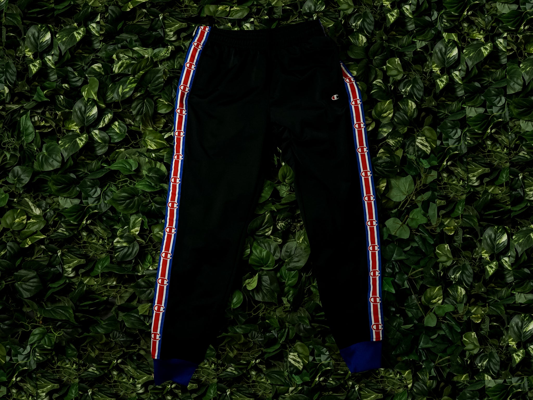 champion life track pants