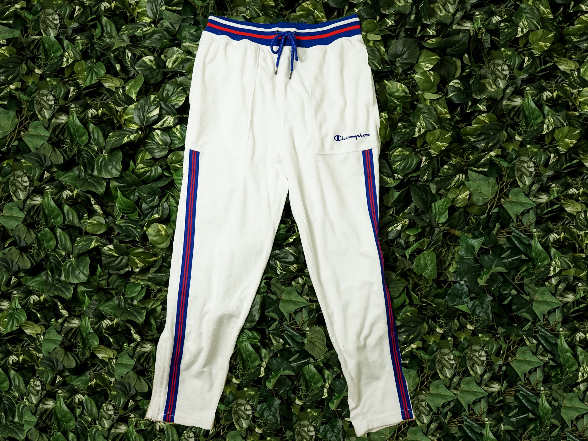 champion warm up pants