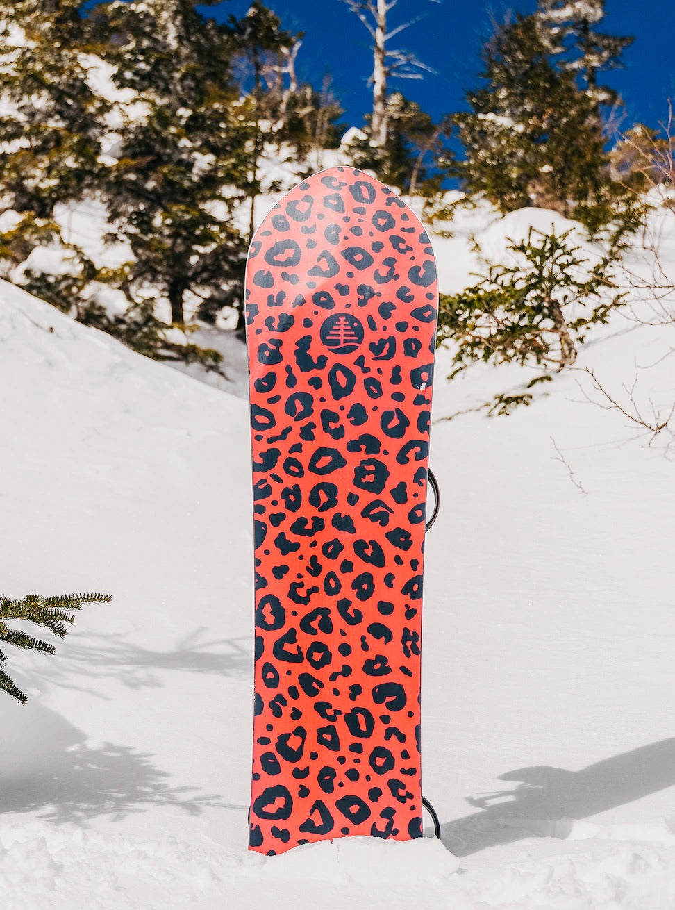 Burton Fish 3D Directional Flat Top Snowboard 2023