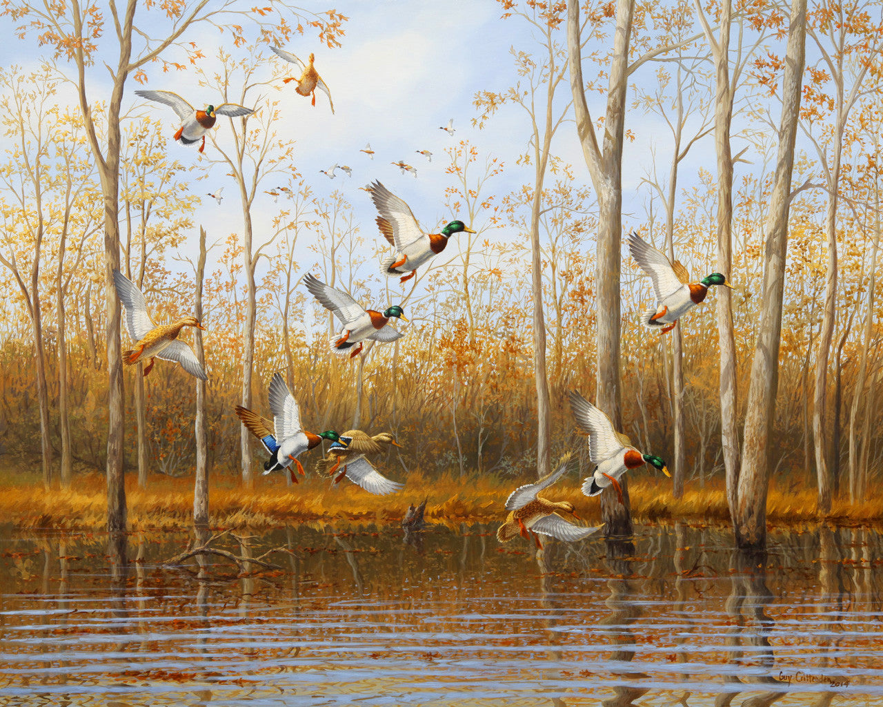 ducks unlimited painting