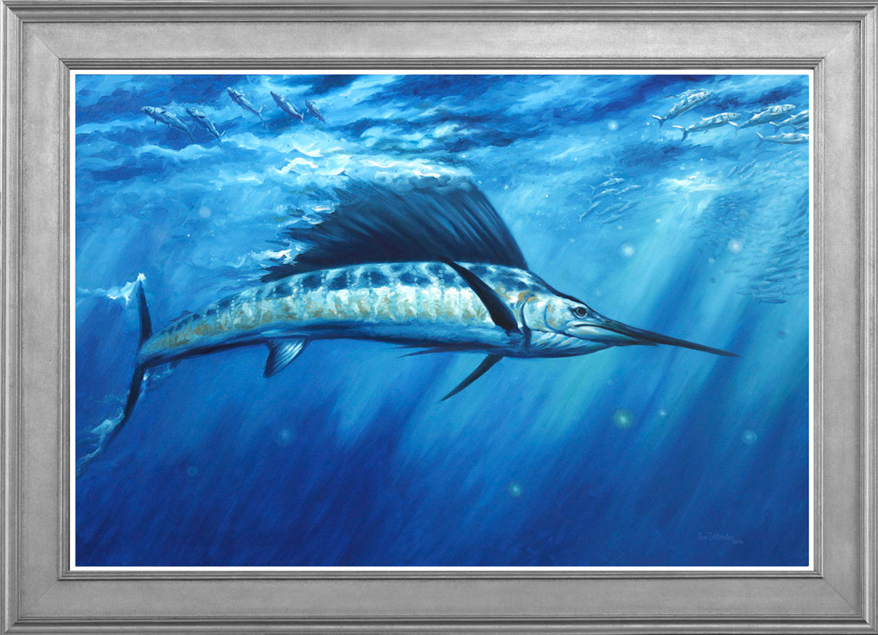 blue crush pacific sailfish crittenden studio