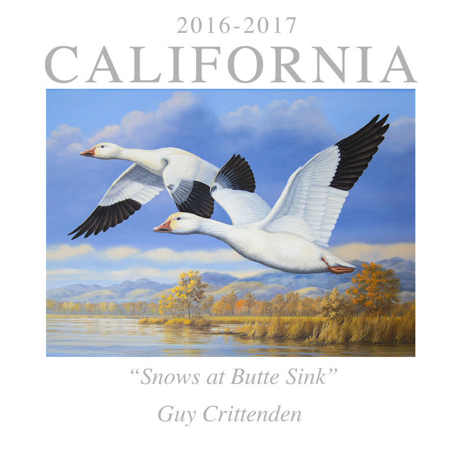 2016 California Waterfowl Conservation Stamp Snows At Butte Sink