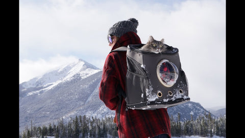 Traveling Cat Backpack