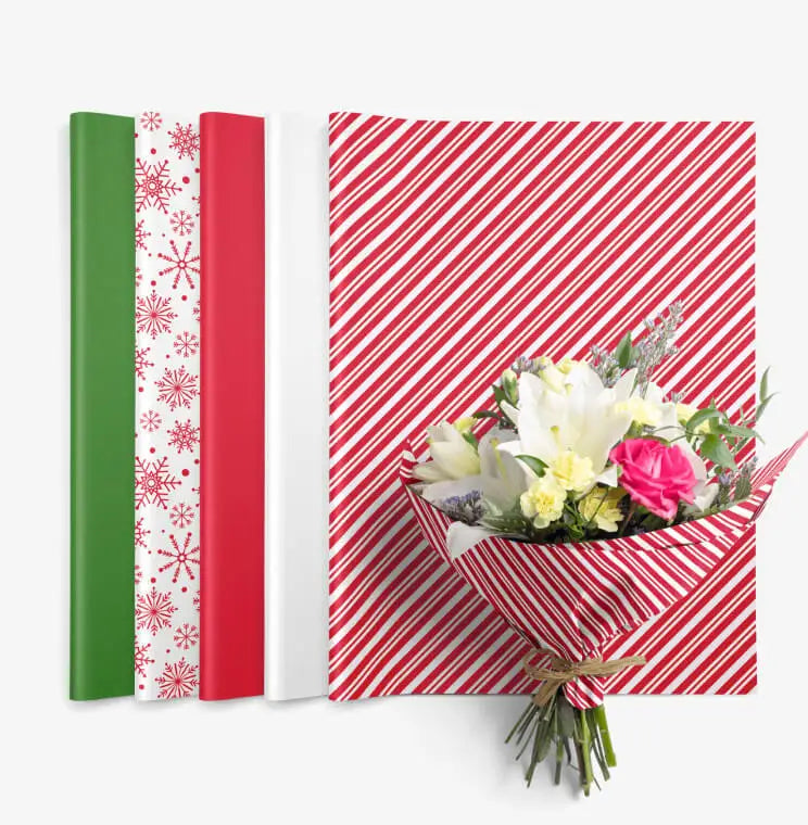 (E222) WT18242XMASSS1