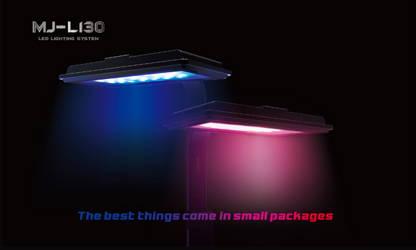 Maxspect's Jump Series nano LED light | MJ-L130 – indianaquarium.com