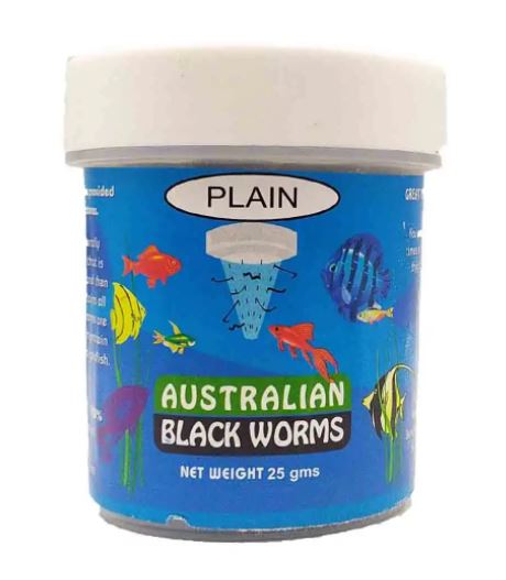 black worms in water