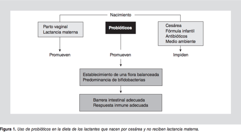 Uso de probióticos en la dieta de los lactantes