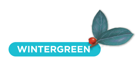 wintergreen organic mouthwash