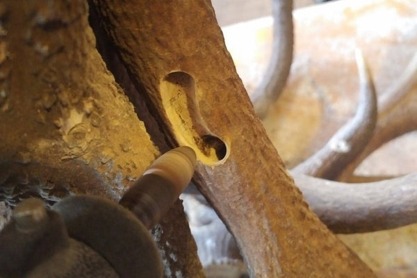 Perçage d'un trou dans le bois de cerf