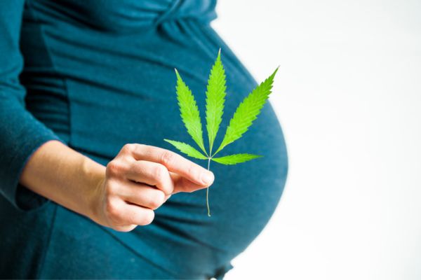 hemp for pregnant women