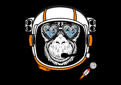 MonkeyshinesSpaceApe