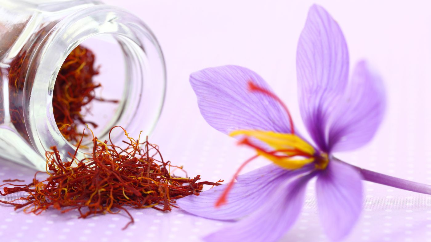 Benefits Of Saffron Raising Water | Dorreen™ Saffron