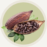 Beurre de cacao naturel