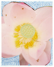 Load image into Gallery viewer, Water Lily I (Framed)