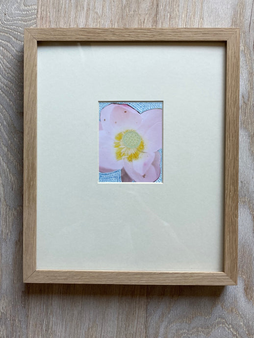 Water Lily I (Framed)