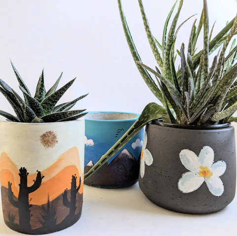Three pots with hand-painted designs of flowers, cactuses, and mountains. Two pots have succulents in them.